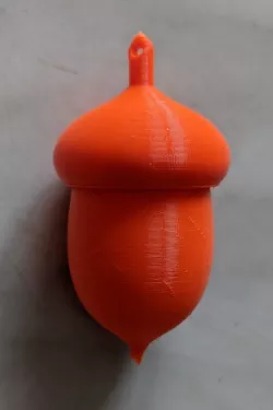 Acorn