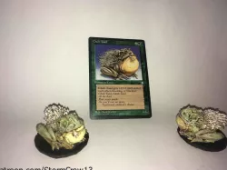 Chub Toad
