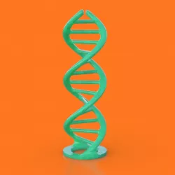 Double Helix DNA