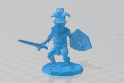 Elf Paladin