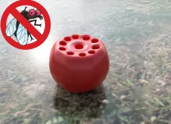 Fruit Fly Apple Trap