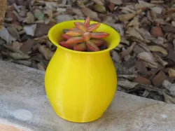 Mini vaso