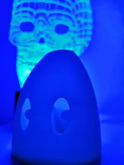 Phantom Light