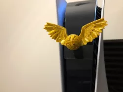 PS5 hood ornament