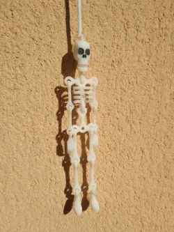 Skeleton