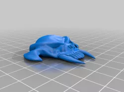 Skull
