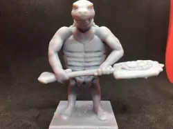 Tortarian (Sea Turtle Barbarian)