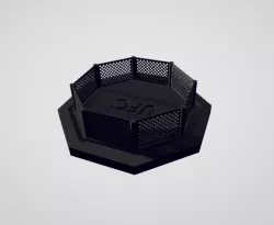 UFC Octagon