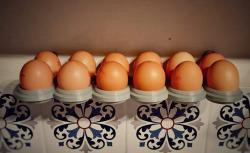 wall mounted egg holder 3D Models | Page 1 | STLFinder