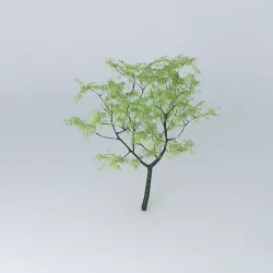 3D Tree Tree 3D 3D model