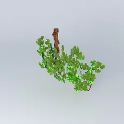 3D vine fruit fruit tree shrub 3D model