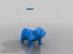 Bull Dog