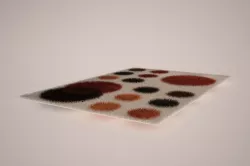 carpet 3D model