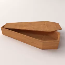 Coffin 3D model