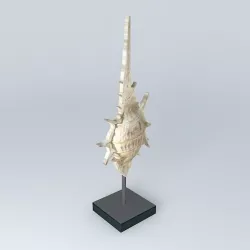 decorative fabric shell 3D model