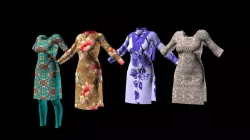 Female Cloth 3D model