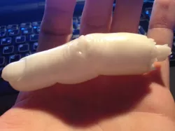 Finger