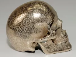 Human Skull