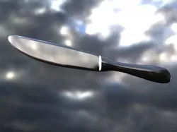 Kitchen knife