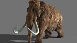 Mammoth 3D model