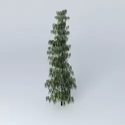 Mast tree 3D model