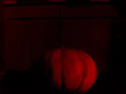 Orange squash 2013-10-29 01.01 PM