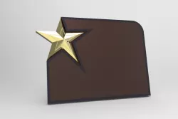 plaque