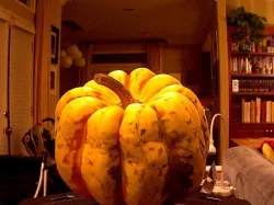 pumpkin