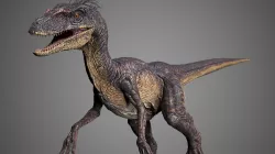 Raptor 3D model