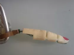 Robotic/Prosthetic finger printed with flexible joint