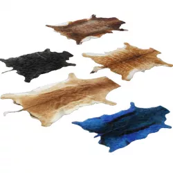 Skins of wild animals 3D model