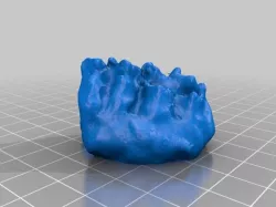 Teeth