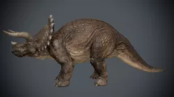 Triceratops-maya 3D model