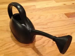 Watering Can Upgrade