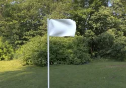 Waving Flag 3D model