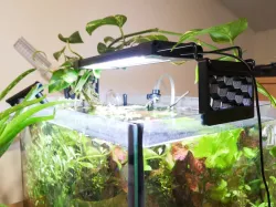 Aquarium light riser
