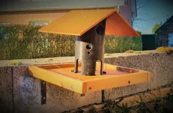 bird feeder Printed and wood ( birdhouse)