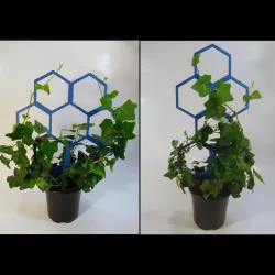 Customizable Modular Trellis