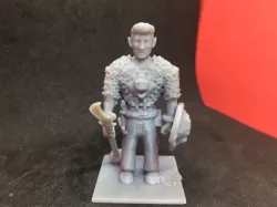 Half Elf Paladin / Warlock