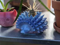 Holey Hedgehog Planter