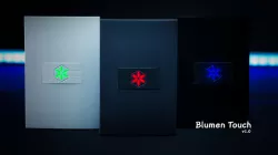 Interruptor touch