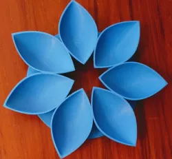 Petals4