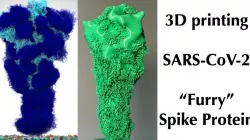 SARS-CoV-2 Coronavirus "Furry" Spike Protein