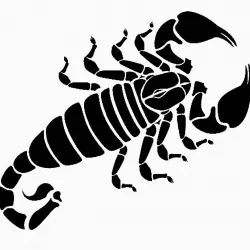 Scorpion stencil 8