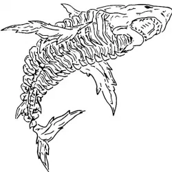 Skeleton Shark stencil