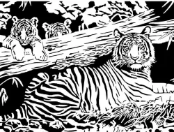 Tiger stencil 3