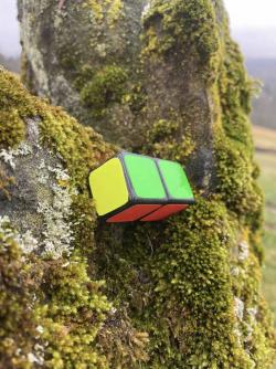 1x1x2 rubik s cube 3d models 【 STLFinder