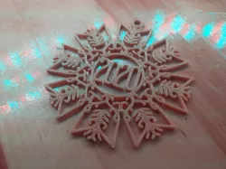2020 Christmas ornament 