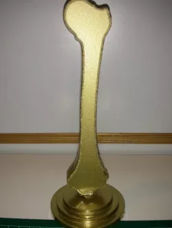 Bone Award