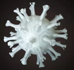 Coronavirus in 42 segments